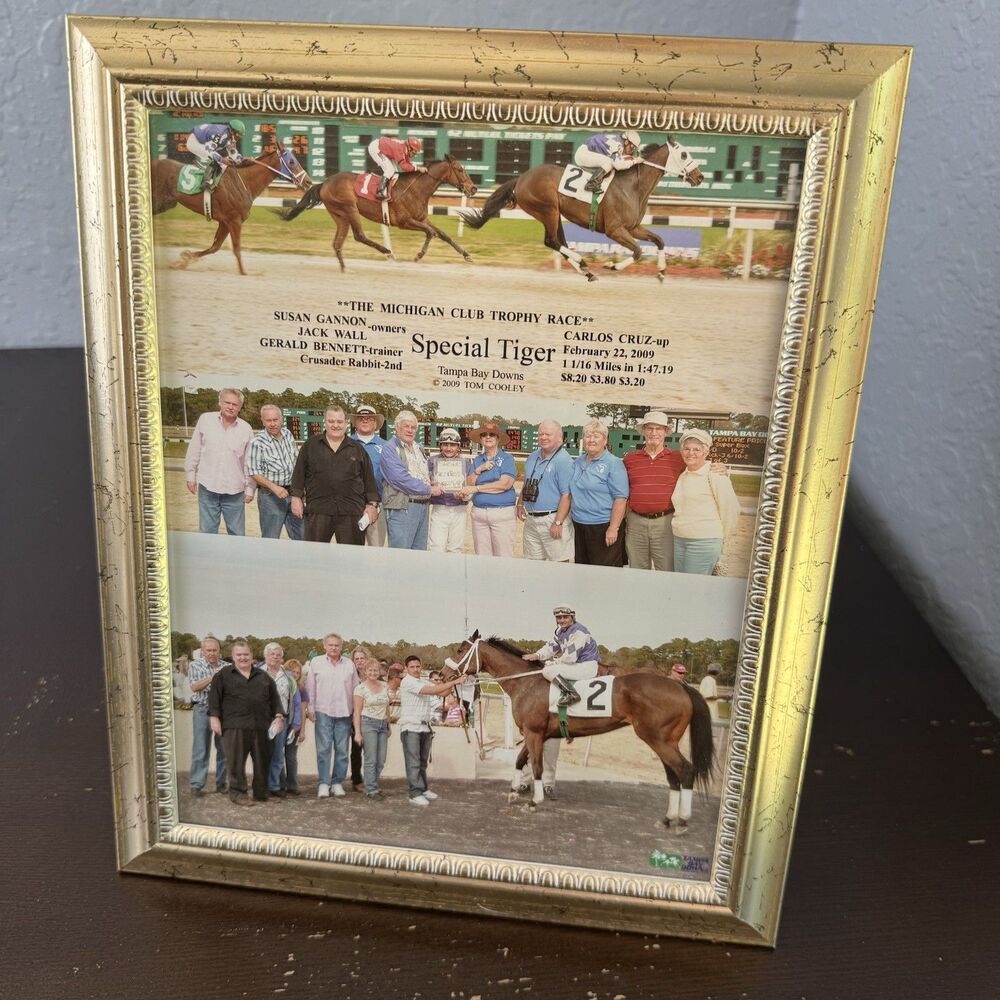 Horse Racing Framed Photograph 2009 Tampa Bay Downs Special Tiger Michigan Club